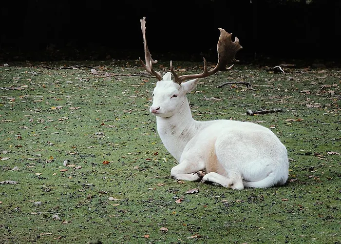 Haus Mersche Σπίτι διακοπών *